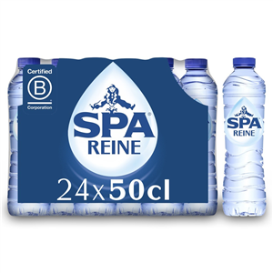 Spa Reine Plat 24x0.5L